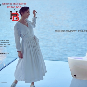 Shindo smart toilet