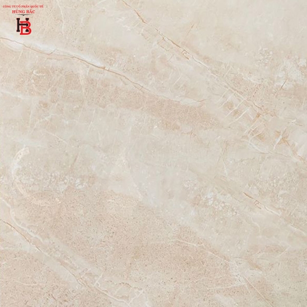 Gạch lát nền Viglacera 3 