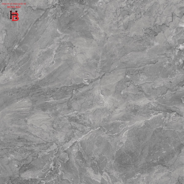 Gạch lát nền Viglacera 5