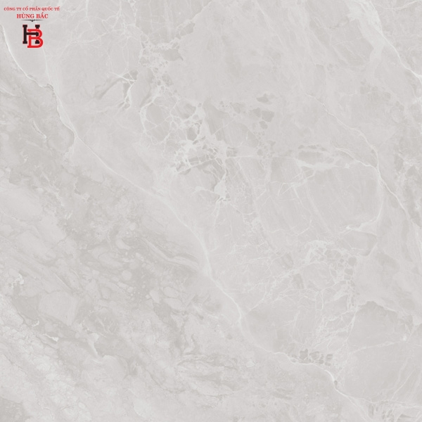 Gạch lát nền Viglacera 7 